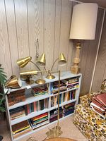 Group of lamps on bookshelf and floor showing floor lamp, gooseneck desk lamps, glass lamp, ceramic lamp