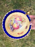 Top view of saucer showing Orchard Fruit motif and teacup handle