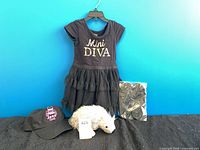 All items together: dress on hanger, packaged slippers, Jeep Girl cap, hedgehog plush