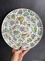 Front view of one plate showing full decoration and staple repairs