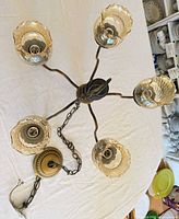 full view of chandelier with five amber glass shades, chain, and canopy