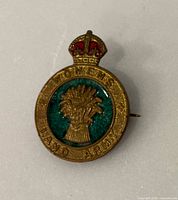 Front of brass Women’s Land Army round pin showing crown, wheat sheaf, text and enamel details