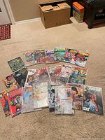 Arc layout of full lot showing all bagged comics