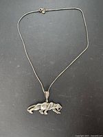 Full view of necklace and pendant