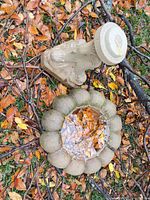 pedestal and scalloped basin lying on grass with leaves