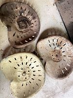 three tractor seats grouped, showing overall condition and finishes