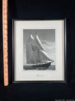 Framed photograph with ruler for scale