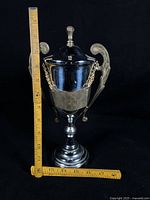 Front view of unmarked two-tone trophy with ruler for scale