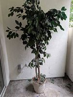 Full view of tall artificial tree in basket planter