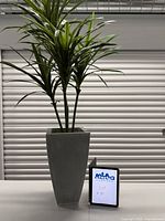Front view of faux dracaena in gray planter