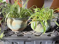 Two spider plants in patinated copper pots on plastic surface