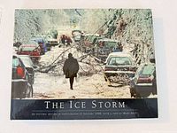 Front cover of hardcover book titled The Ice Storm