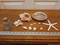 All items laid out with ruler for scale