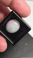 Opal in black gemstone box