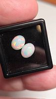 Both opals in display box showing play-of-color