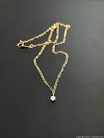 Full view of gold-filled chain necklace and pendant