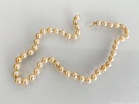 Full view of pearl necklace arranged on surface