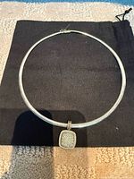 Full view of omega collar with pendant attached