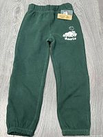 Full view of green Roots sweatpants front side