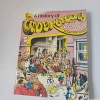 Front cover of the book showing title and artwork