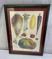 Front view of framed vegetable print showing frame, mat and full artwork