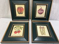 Group shot of all four framed vegetable prints
