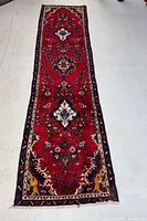 Full view of runner rug showing overall design and proportions
