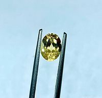 Front view of oval citrine held by tweezers