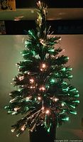 Tree illuminated with multicolour fiber-optic lights
