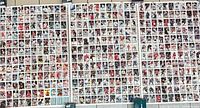 Overall view showing three adjacent uncut sheets filled with hockey card images.