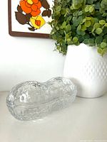 Closed crystal peanut-shaped dish beside plant