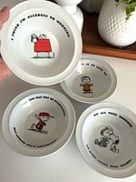 Top view of all four bowls showing different designs and captions