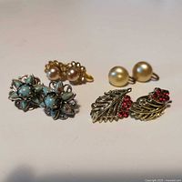 All four pairs of earrings arranged together