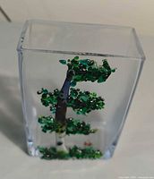 front view of clear block showing tree design