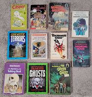 Group shot of all 11 paperback books arranged on carpet