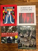 Front covers of all four books