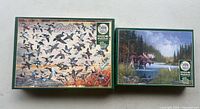 Front view of both boxed puzzles showing artwork, titles and 1000+ piece count