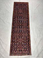 Full view of Hamedan runner rug on light background