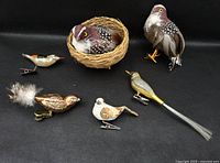 All items displayed together on black backdrop