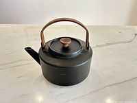 Side view of matte black Copco kettle showing spout, handle, overall form