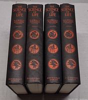 Spines of all four volumes showing titles, authors, decorative motifs, publisher