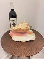 Queen conch seashell next to wine bottle for scale