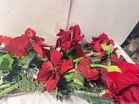 Group of red poinsettia stems showing blooms and foliage.