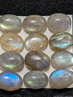 Front view of 12 oval labradorite cabochons showing flashes