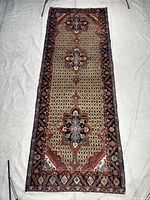 Full view of the Songor Hamedan runner rug showing complete pattern and size