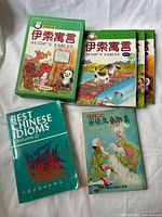 Group shot of all books: three Aesop’s Fables volumes with two slipcases, Best Chinese Idioms Volume 2, Chinese novel