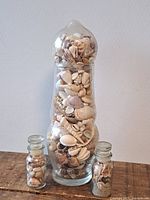 Front view of all three bottles showing shells inside