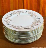 Stack of 13 matching floral rimmed plates