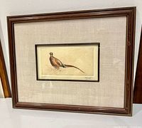 full view of framed pheasant etching
