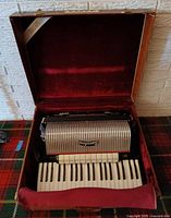 Accordion in open case showing full instrument